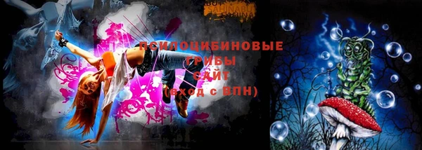 PSILOCYBIN Медногорск
